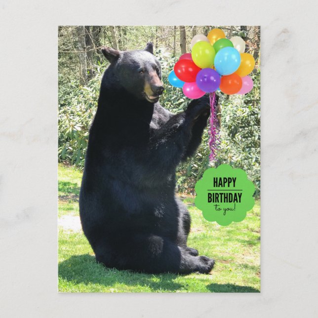 Black Bear - "Cubby - Happy Birthday!" Postcard (Front)