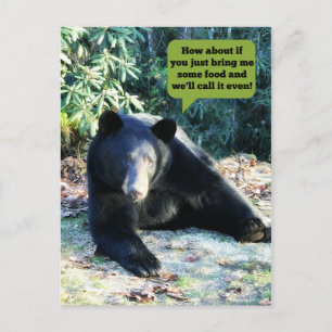 Black Bear - "Cubby - Let's Make a Deal" Postcard