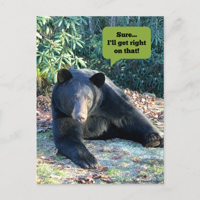Black Bear - "Cubby Sure I'll get right on that!"  Postcard (Front)