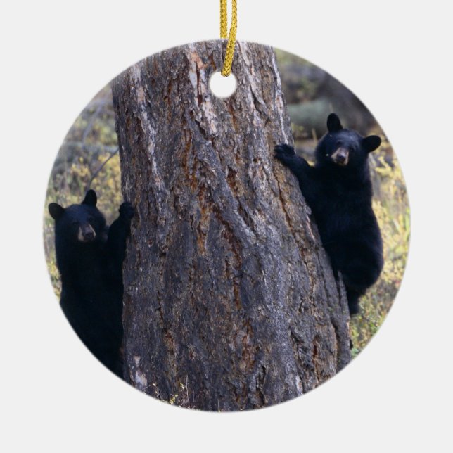black bear cubs ceramic ornament (Front)
