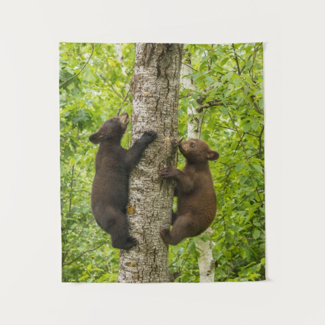 Black Bear Cubs Climbing Tree Tapestry (Front)