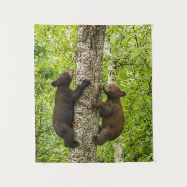 Black Bear Cubs Climbing Tree Tapestry (Front)