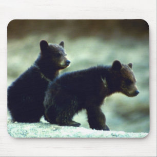 Black Bear cubs Mouse Pad