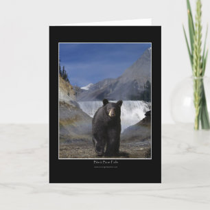 BLACK BEAR FALLS Cartes de voeux et cartes de note