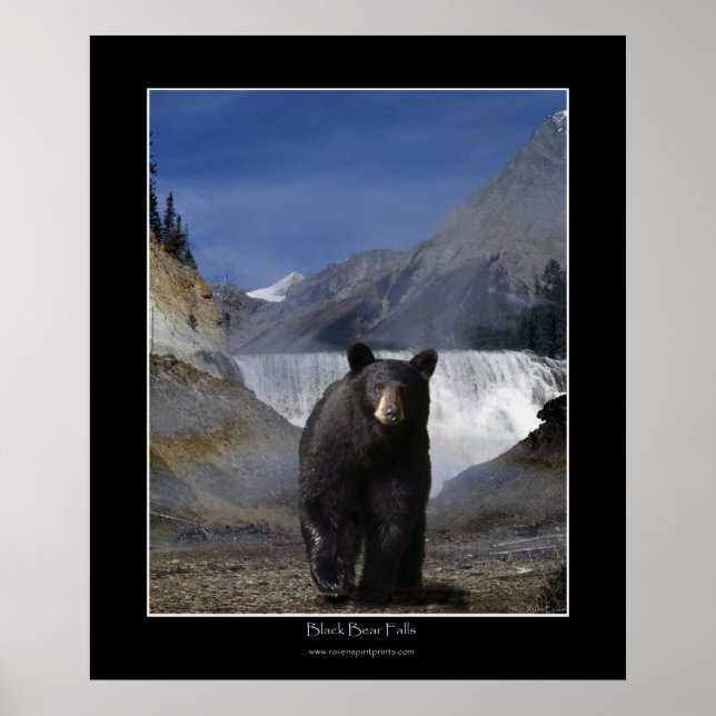 BLACK BEAR FALLS Photo Poster (Front)