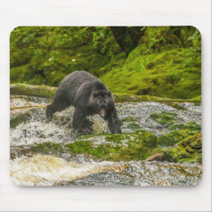 Black Bear Fishing   Qua Creek British Columbia Mouse Pad