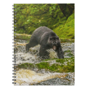Black Bear Fishing Qua Creek British Columbia Notebook