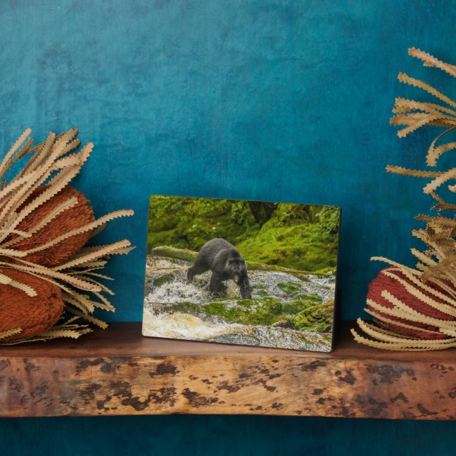 Black Bear Fishing | Qua Creek British Columbia Plaque (Side)