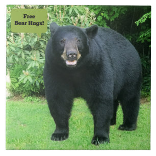 Black Bear - "Free Bear Hugs-Cubby the Black Bear" Tile