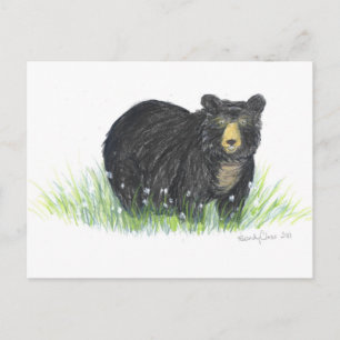 black bear gifts postcard