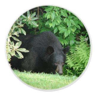 Black Bear - "Hello Cubby" Ceramic Knob