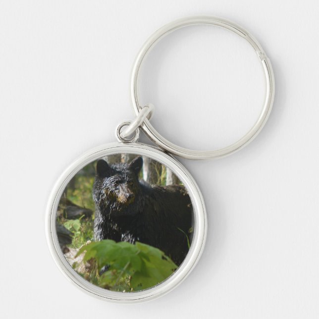 Black Bear Hiding in Forest Wildlife Photo Keychain (Front)
