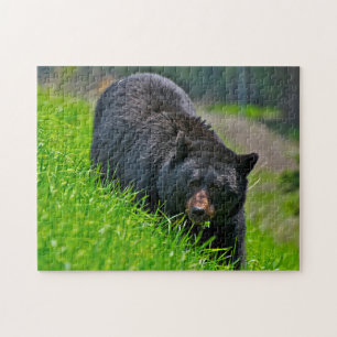 Black Bear Hunting, Jigsaw Puzzle