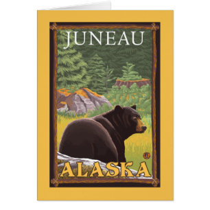 Black Bear in Forest - Juneau, Alaska