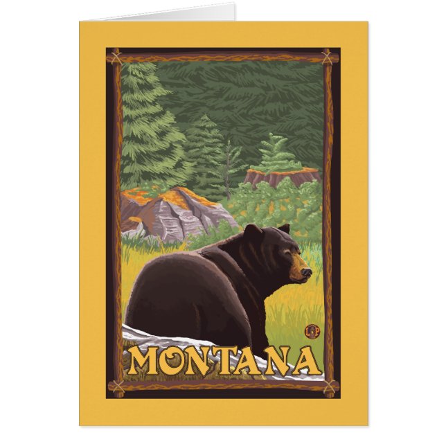 Black Bear in Forest - Montana (Front)