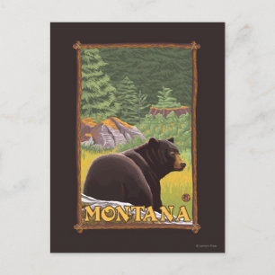 Black Bear in Forest - Montana Postcard