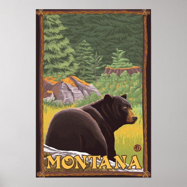 Black Bear in Forest - Montana Poster (Front)