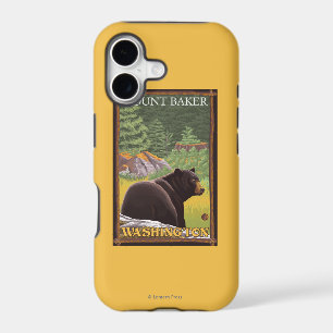 Black Bear in Forest - Mount Baker, Washington