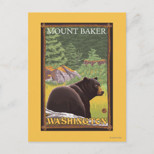 Black Bear in Forest - Mount Baker, Washington Postcard