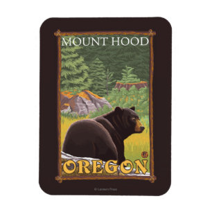 Black Bear in Forest - Mount Hood, Oregon Magnet