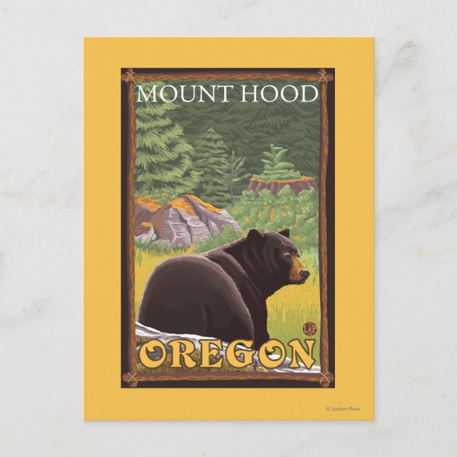 Black Bear in Forest - Mount Hood, Oregon Postcard (Front)