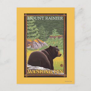 Black Bear in Forest - Mount Rainier, Washington Postcard