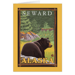 Black Bear in Forest - Seward, Alaska