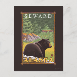 Black Bear in Forest - Seward, Alaska Postcard