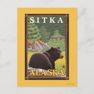 Black Bear in Forest - Sitka, Alaska Postcard