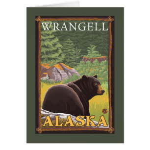 Black Bear in Forest - Wrangell, Alaska