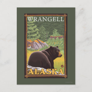 Black Bear in Forest - Wrangell, Alaska Postcard
