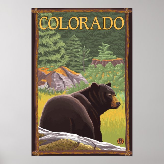 Black Bear in ForestColorado Poster (Front)