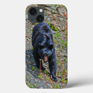 Black Bear in Yukon Wilderness Wildlife Photo iPhone 13 Case