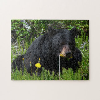 Black Bear Jigsaw Puzzle