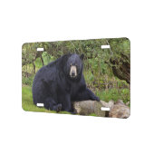 Black bear license plate (Left)