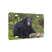 Black bear license plate (Right)