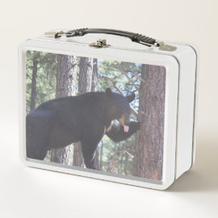 Black Bear Lunch Box