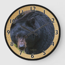 Black Bear Magesty