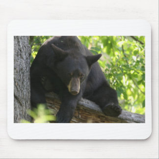 black bear mouse pad