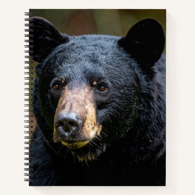 Black bear notebook (Front)