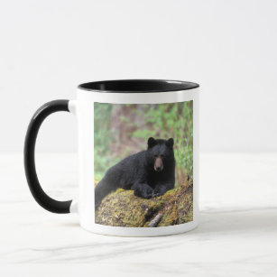Black bear on an old growth log in the mug