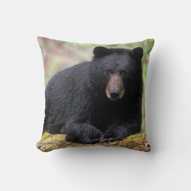 Black bear on an old growth log in the throw pillow (Front)