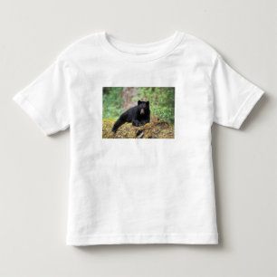 Black bear on an old growth log in the toddler t-shirt
