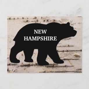 Black bear on birch bark with state,  postcard