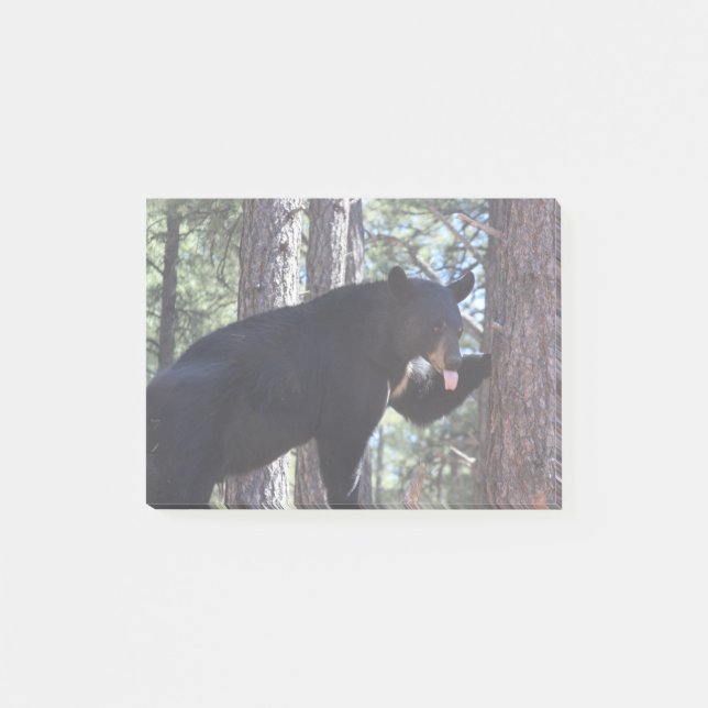 Black Bear Post-it Notes (Front)