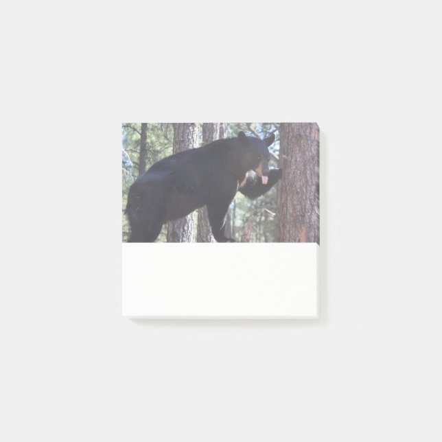 Black Bear Post it Notes (Front)