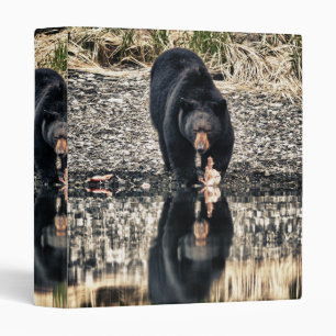 Black Bear Reflections Binder