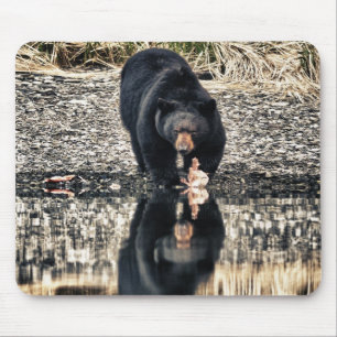 Black Bear Reflections Mouse Pad