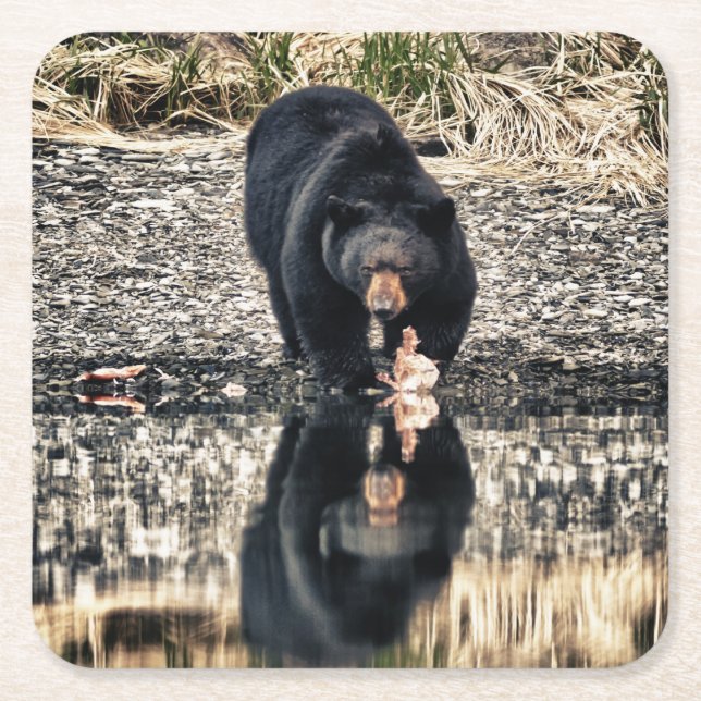 Black Bear Reflections Square Paper Coaster (Front)
