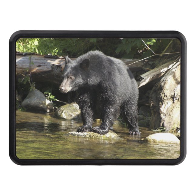 Black Bear "Salmon Spotting" Wildlife Trailer Hitch Cover (Front)